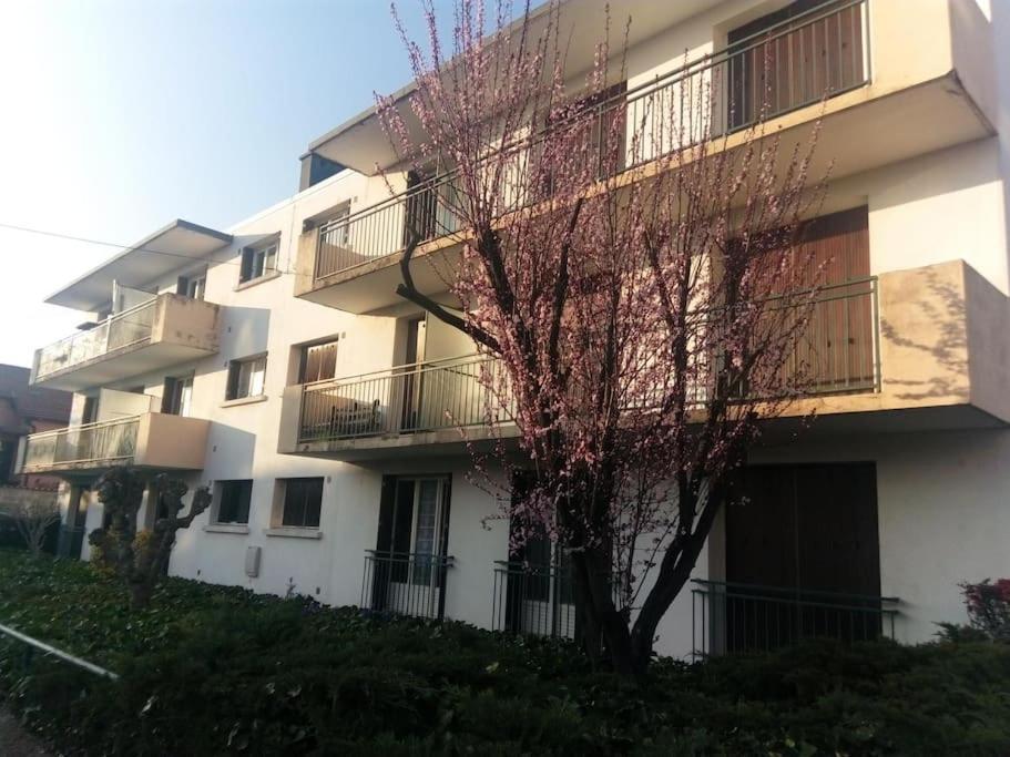 Appartement Avec Balcon Et Parking Prive Roanne Eksteriør billede