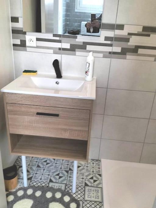 Appartement Avec Balcon Et Parking Prive Roanne Eksteriør billede