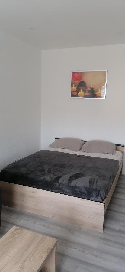 Appartement Avec Balcon Et Parking Prive Roanne Eksteriør billede